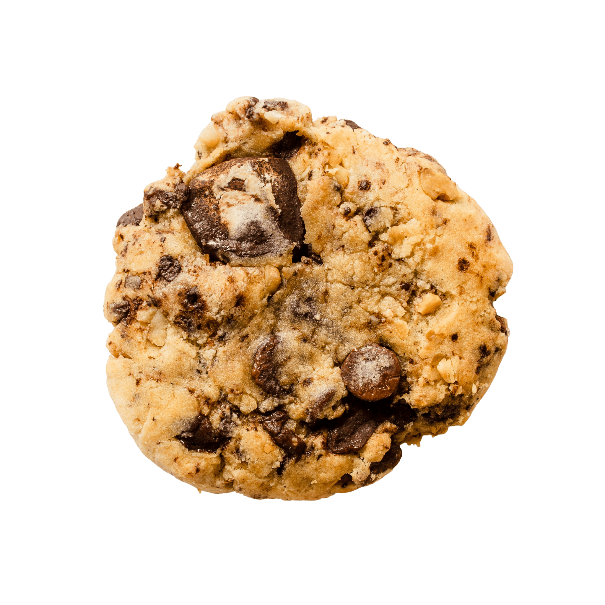 Walnut Chocolate Chip Whey Protein Cookies - Stay Real Food Inc.